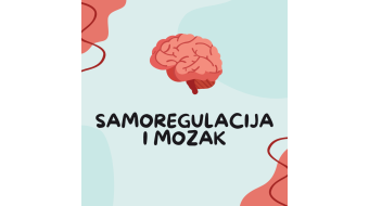 MOZAK I SAMOREGULACIJA