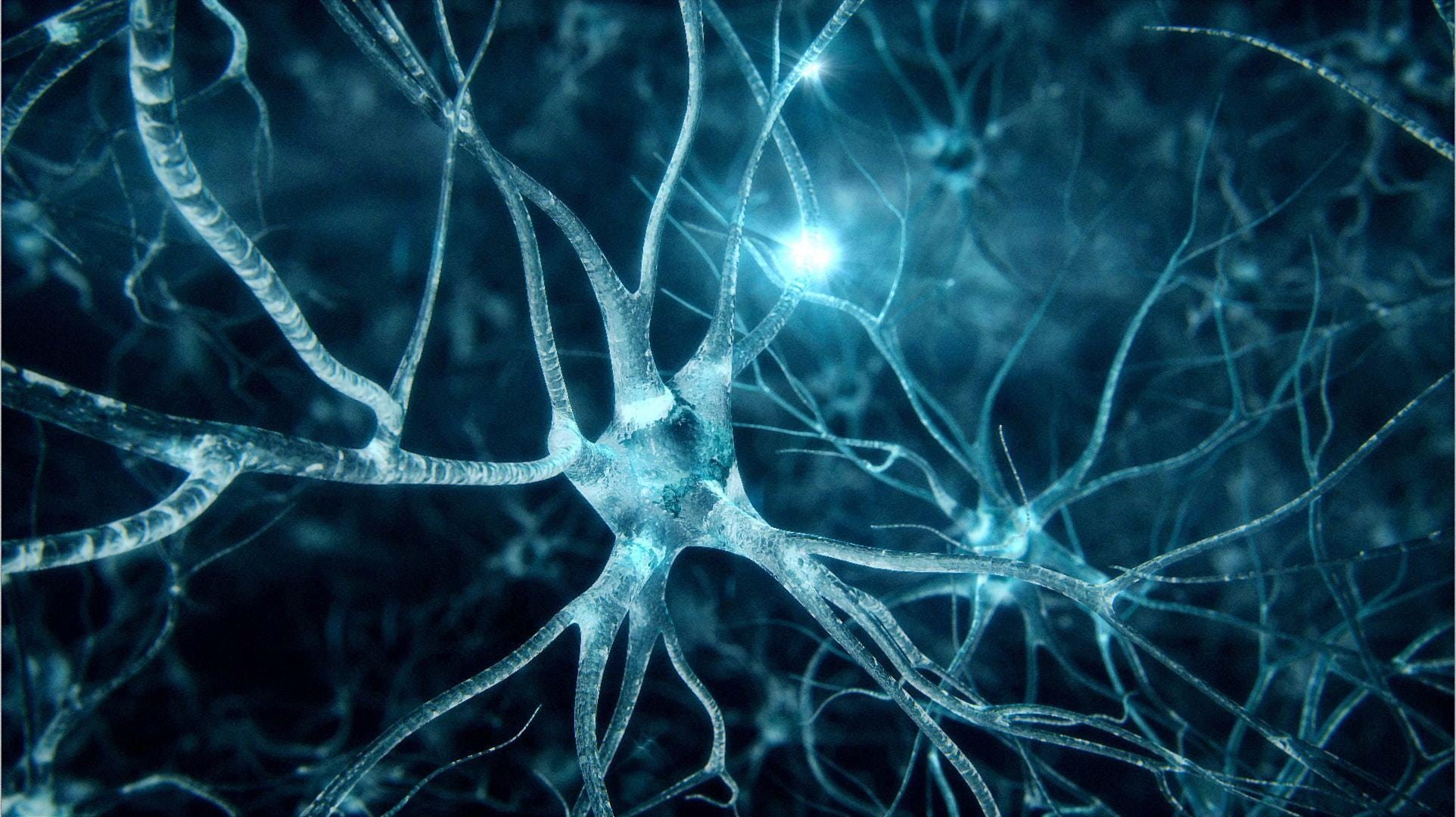 31-neurofeedback-za-odrasle.jpg